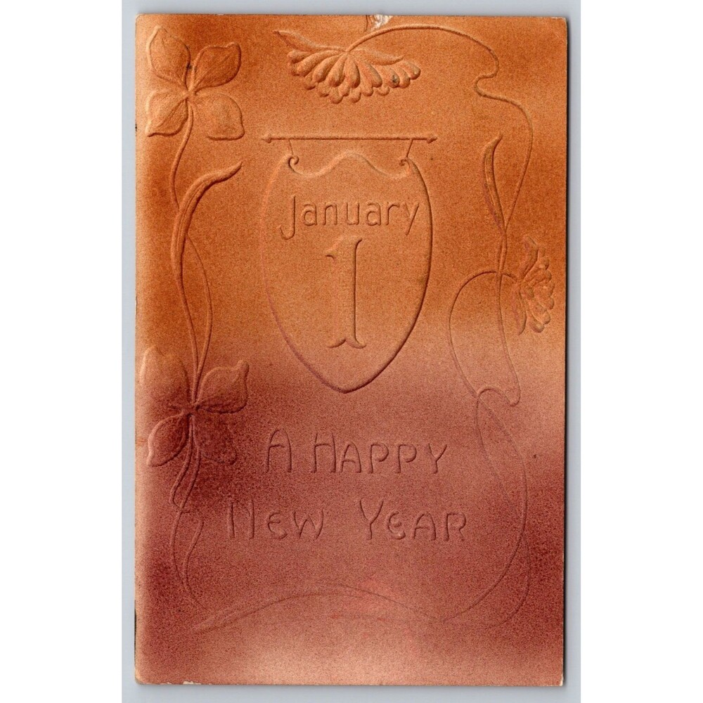 Antique 1909 Airbrushed Faux Leather Postcard New Year Berlin WI to Seattle WA
